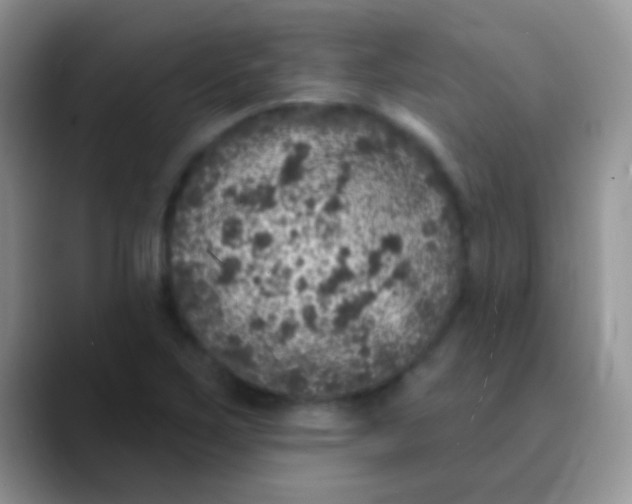 X0000089881267200707191950