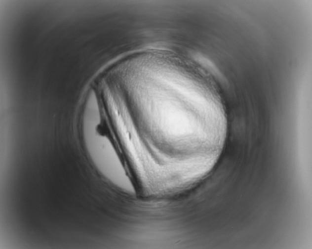 X0000089881268200707191950