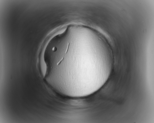 X0000089881272200707191950