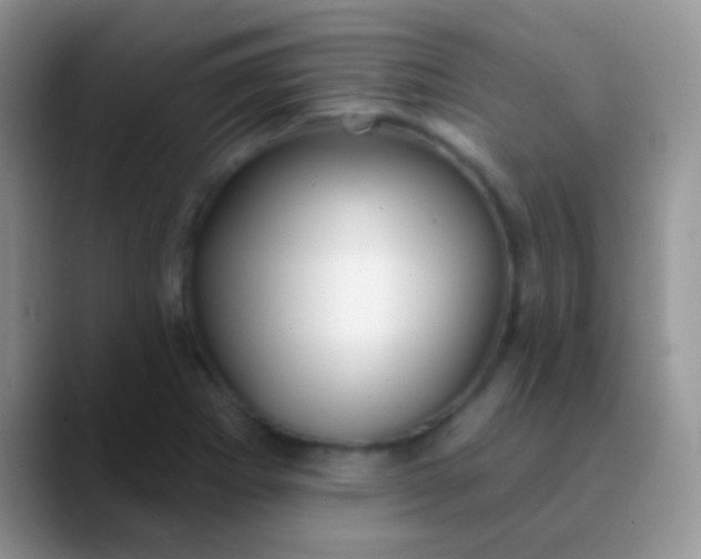 X0000089881273200707191950