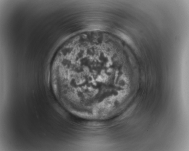 X0000089881275200707191950