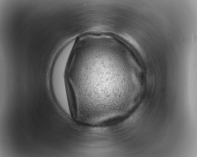 X0000089881277200707191950