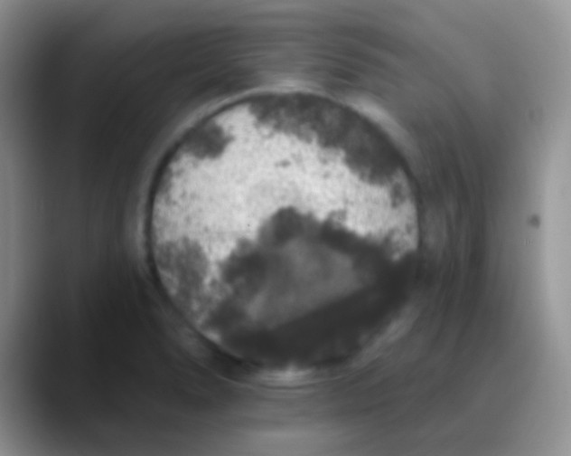 X0000089881278200707191950