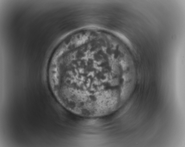 X0000089881279200707191950