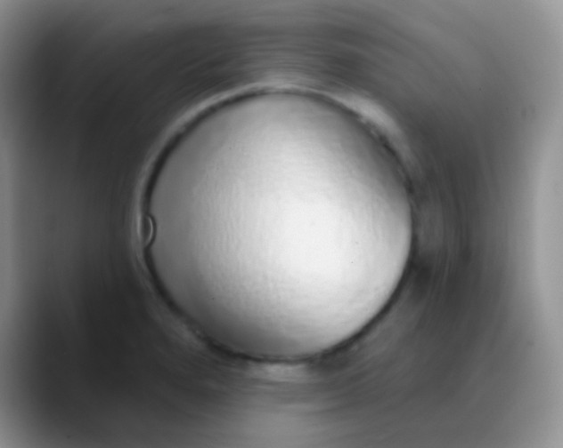 X0000089881280200707191950