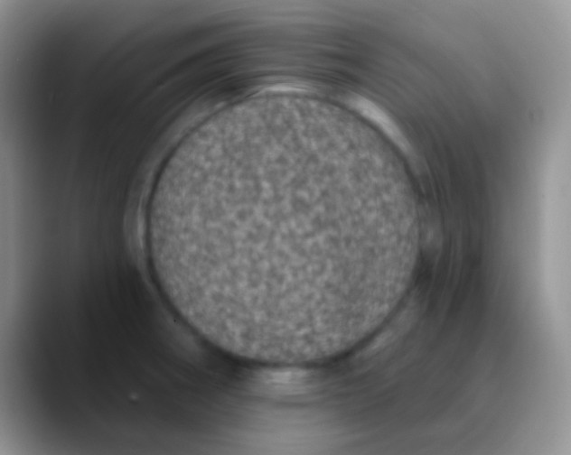 X0000089881282200707191950