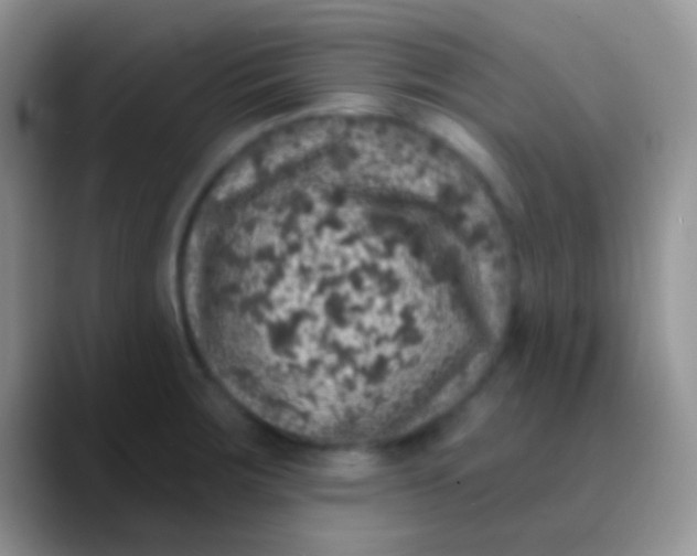 X0000089881283200707191950