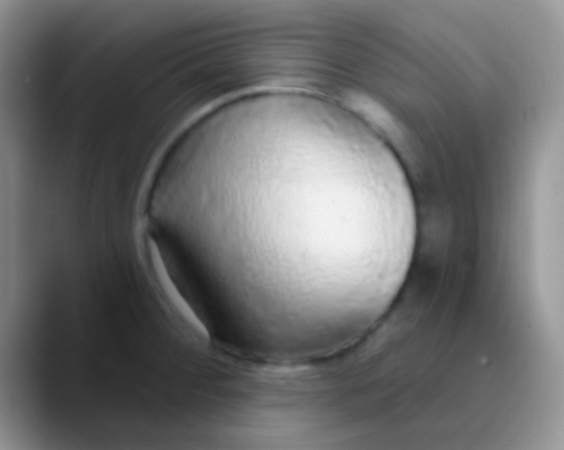 X0000089881284200707191950