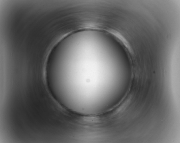 X0000089881285200707191950