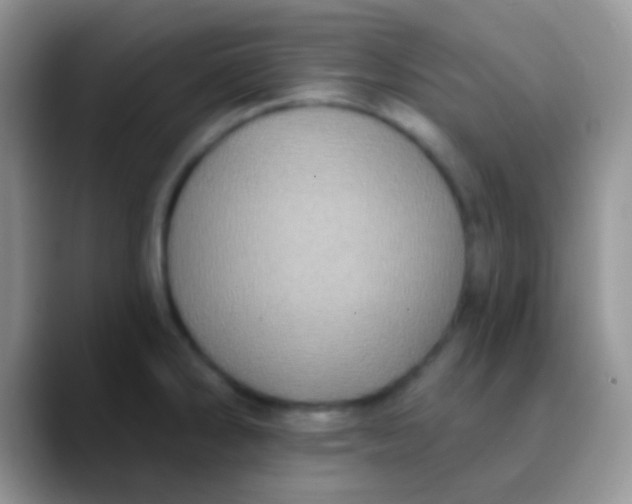 X0000089881286200707191950