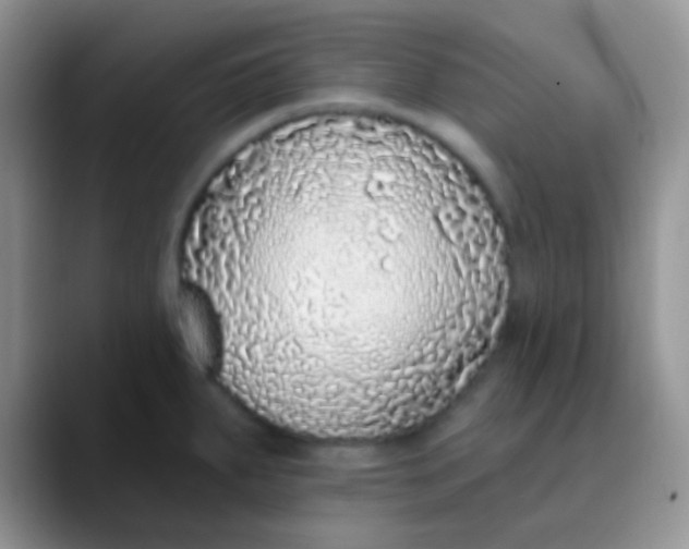 X0000089881287200707191949