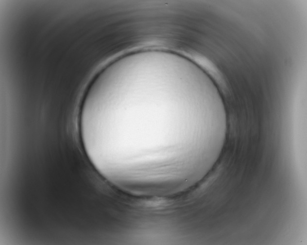 X0000089881288200707191949