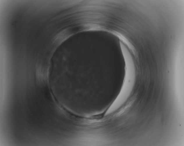 X0000089881289200707191949