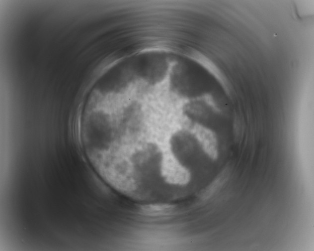 X0000089881290200707191949