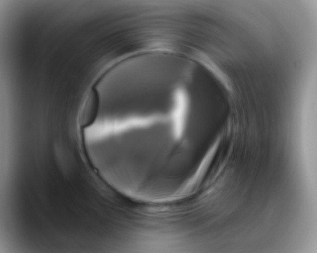 X0000089881291200707191949