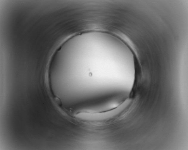 X0000089881293200707191949