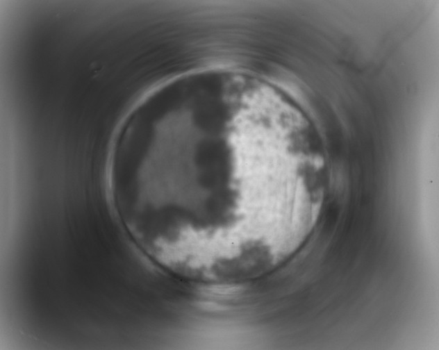 X0000089881294200707191949