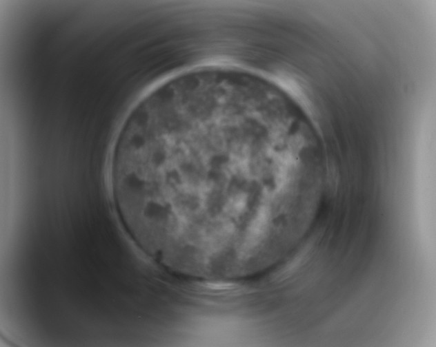 X0000089881295200707191949