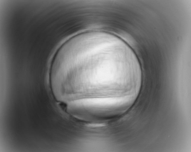 X0000089881296200707191949