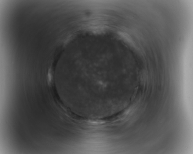 X0000089881298200707191949