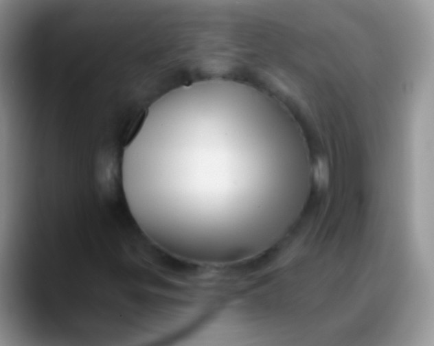 X0000089881299200707191949