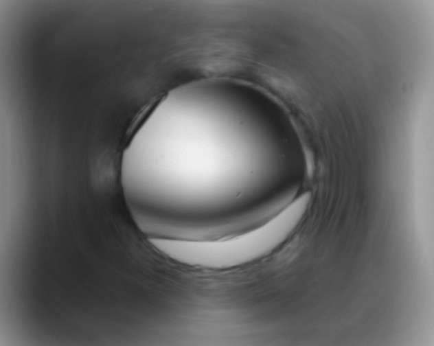 X0000089881300200707191949