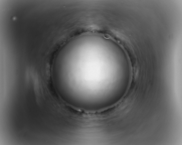 X0000089881301200707191949