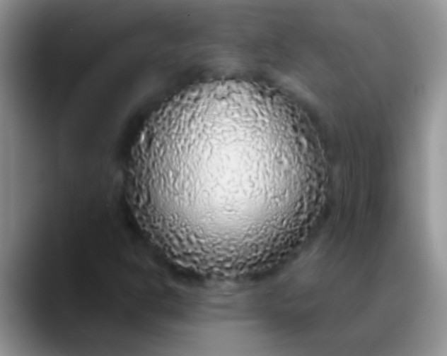 X0000089881302200707191949