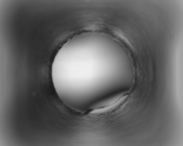 X0000089881304200707191949