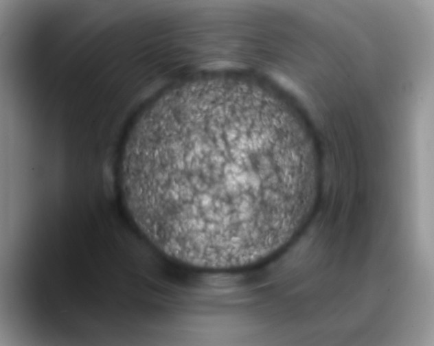 X0000089881305200707191949