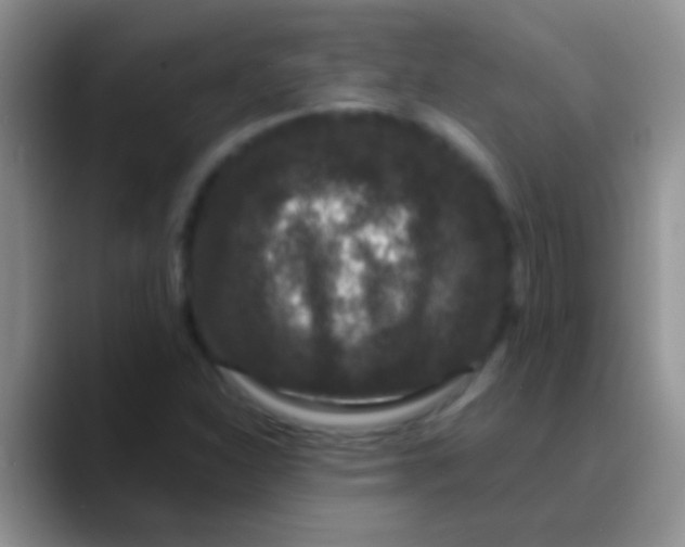 X0000089881310200707191949