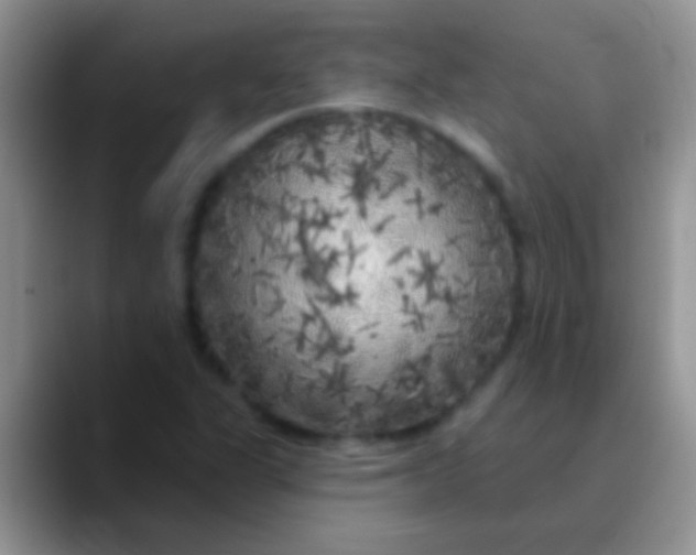 X0000089881311200707191949