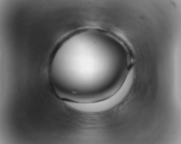 X0000089881312200707191949