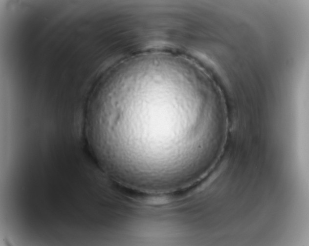 X0000089881313200707191949