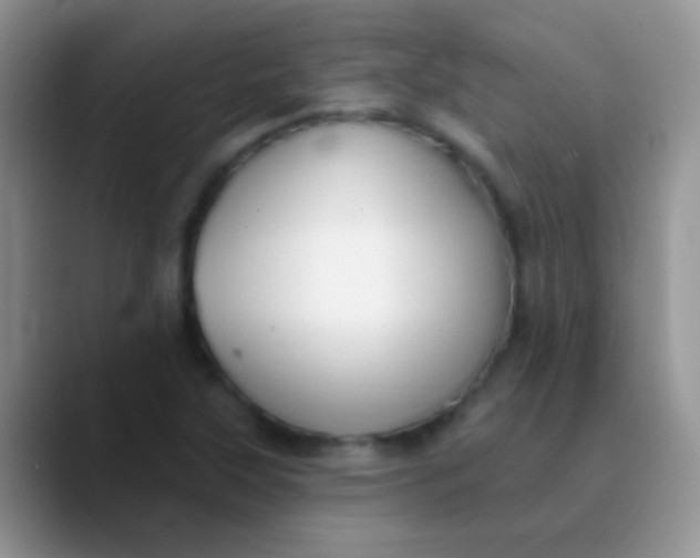 X0000089881315200707191949