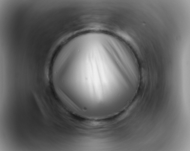 X0000089881318200707191949