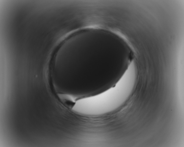 X0000089881319200707191949