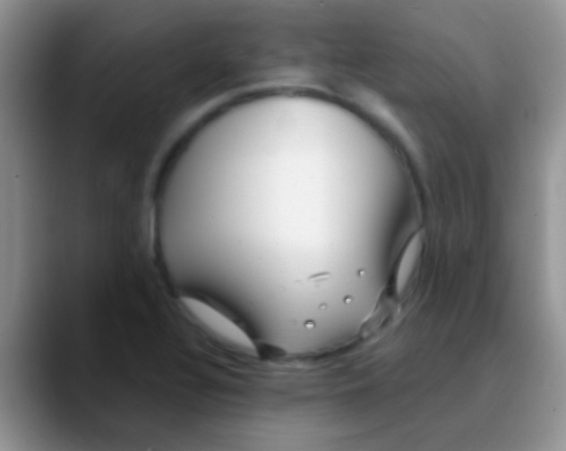 X0000089881320200707191949