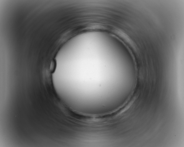 X0000089881321200707191949