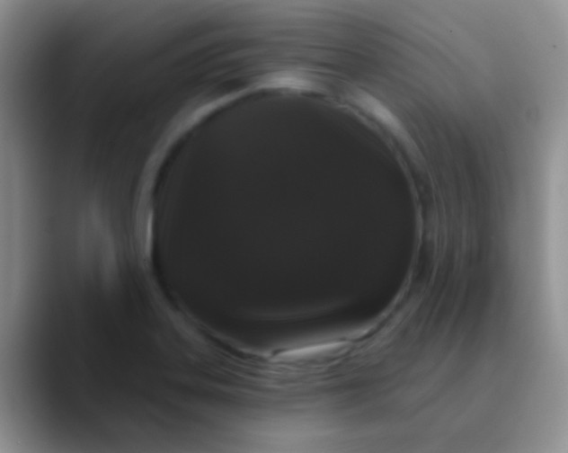 X0000089881323200707191949