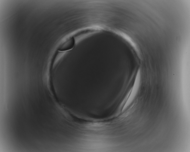 X0000089881327200707191949