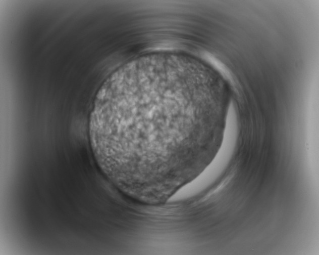 X0000089881329200707191949