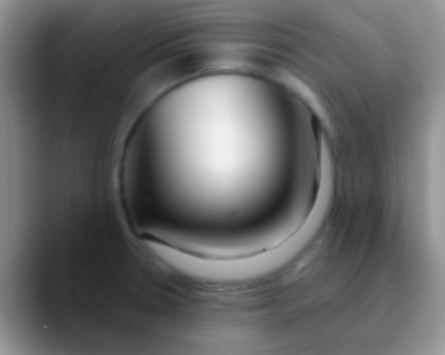 X0000089881330200707191949