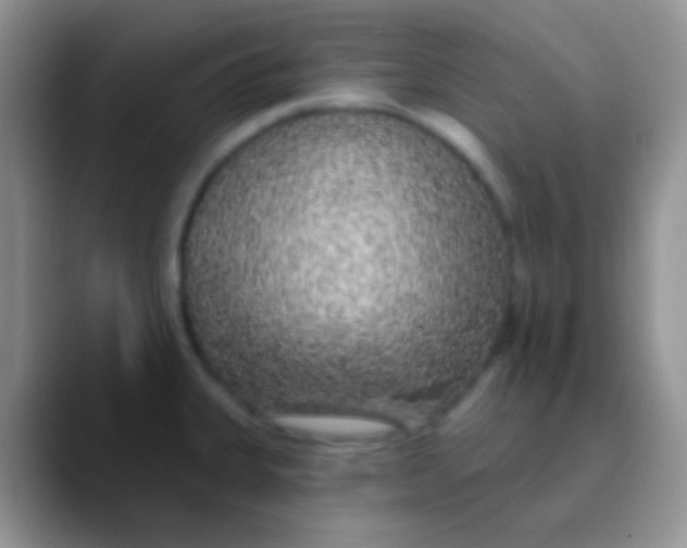 X0000089881335200707191949