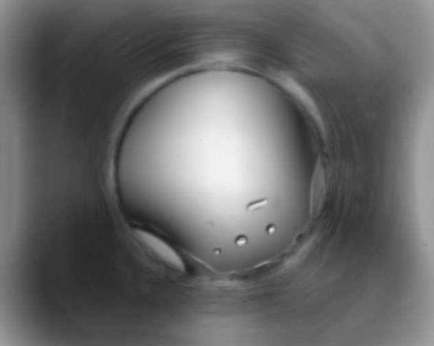 X0000089881336200707191949