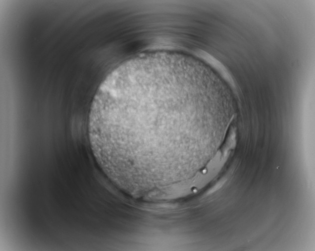 X0000089881337200707191949