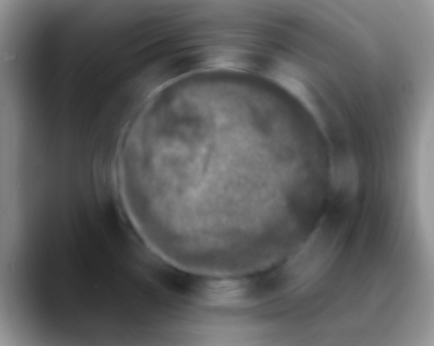 X0000089881338200707191949