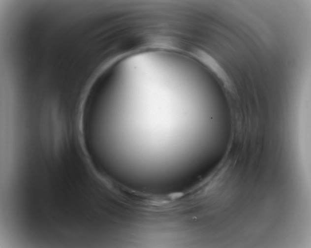 X0000089881339200707191949