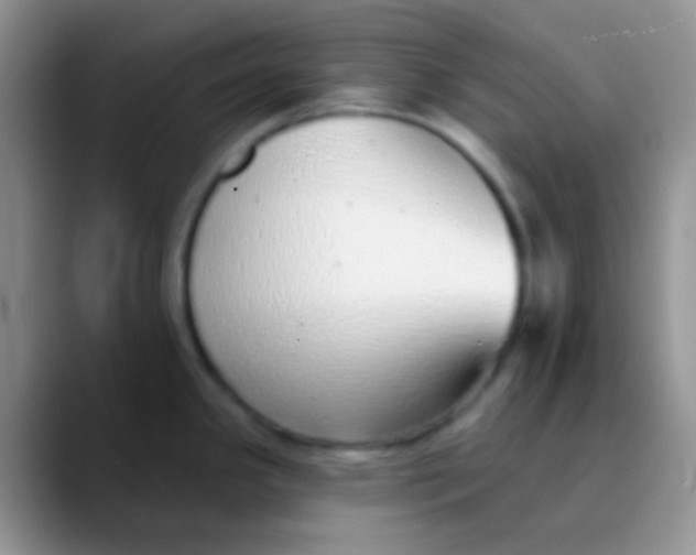 X0000089881341200707191949