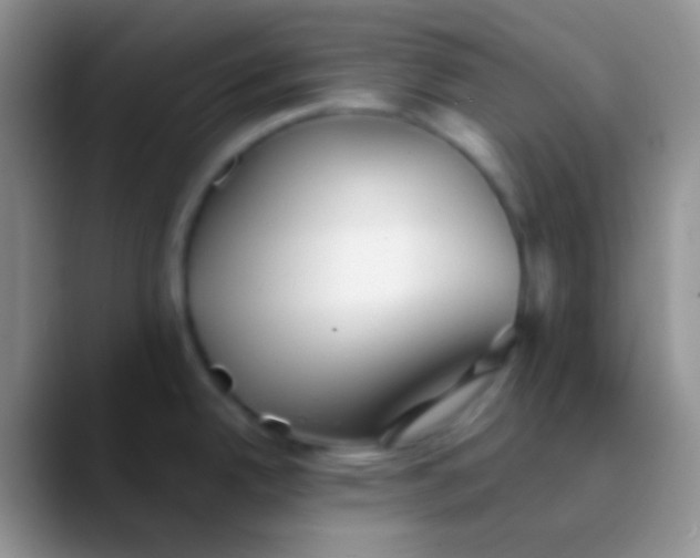 X0000089881342200707191949